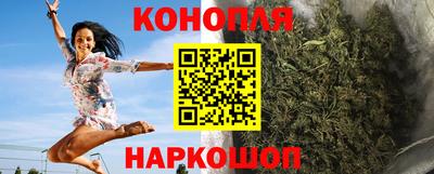 крисы Ставрополь