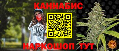 крисы Ставрополь