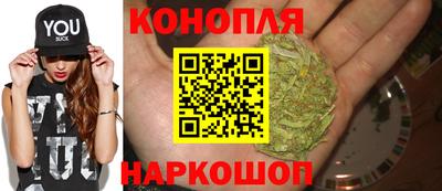 крисы Ставрополь
