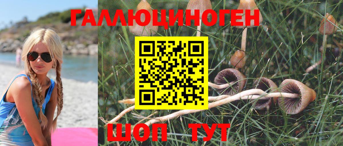 Псилоцибиновые грибы Magic Shrooms Москва